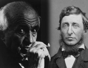 Vincenz wymawiał często to nazwisko: Thoreau